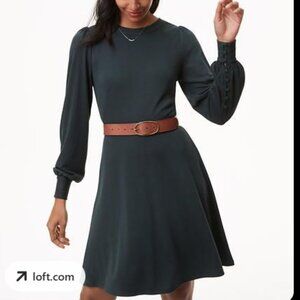 Ann Taylor Loft Petite FLAW Flare Dress dark forest legacy green